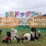 あさひシーサイドドッグラン