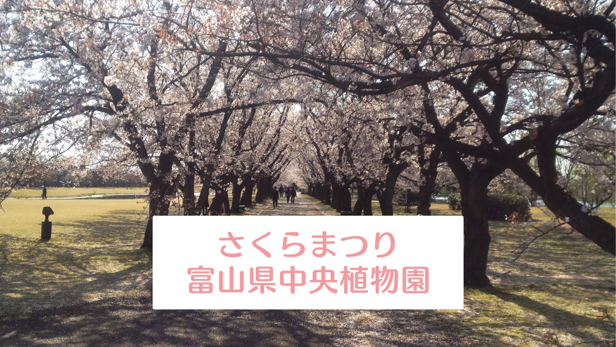 【第8回さくらまつり2019】富山県中央植物園のお花見イベント！