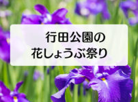 【滑川市の花しょうぶ祭り】行田公園ではライトアップにガイドツアーも！