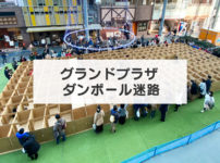 【段ボール迷路】総曲輪グランドプラザに無料の段ボール迷路が今年も登場！