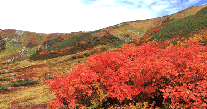 富山の秋
