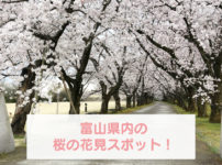 【富山の桜 お花見スポット】桜の名所70選、イベント、開花予想まとめ！