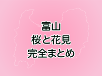 【富山の桜まとめ】花見の名所や開花予想など、おすすめスポット紹介!