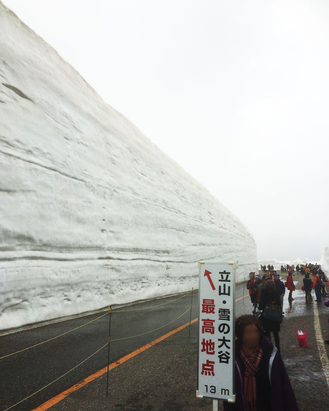 「立山・雪の大谷」の雪の壁の最高地点