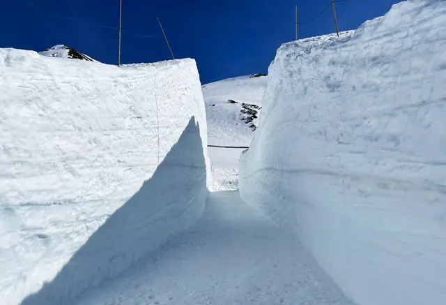 雪の大谷22 約mの雪の壁の時期や行き方まとめ 富山暮らし