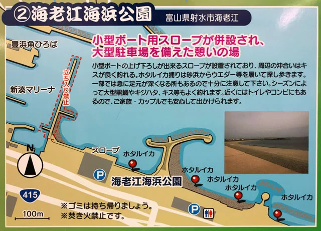 ホタルイカ身投げ情報21 富山の旬 時期 道具 場所 実体験 富山暮らし