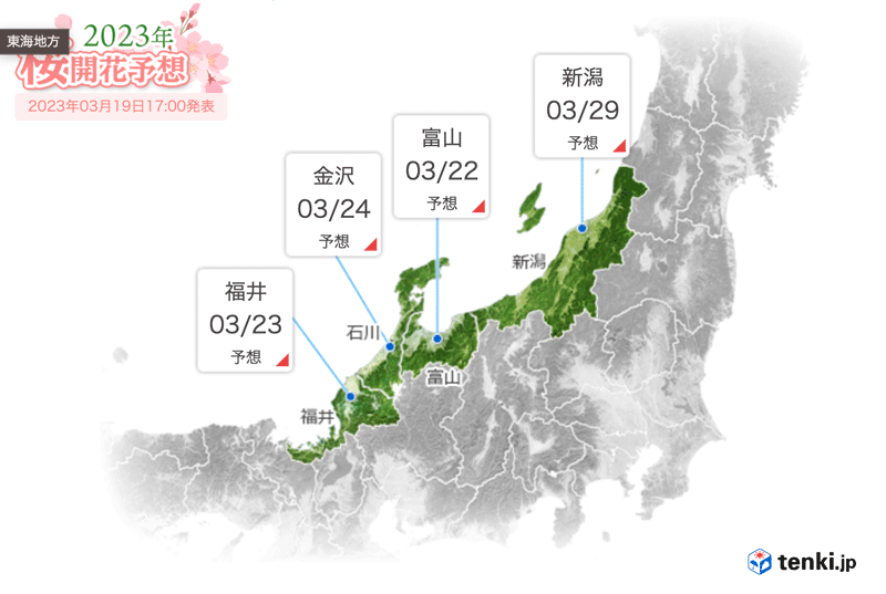 北陸地方、富山県の桜の満開予想日2023(2023年3月19日時点)