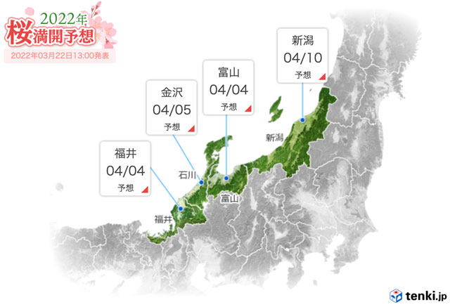 富山県の桜の満開予想日2022(2022年3月22日)