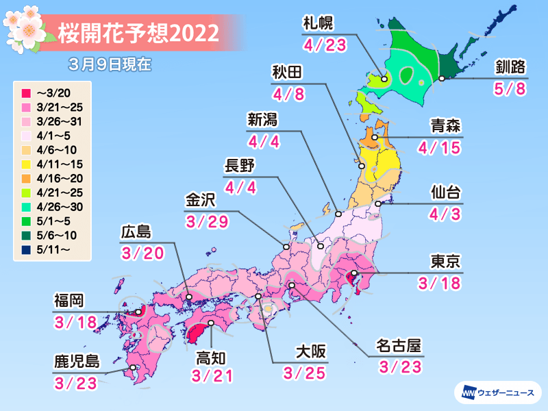 日本全国の桜の予想開花日と予想満開日2022 (ウェザーニュース)