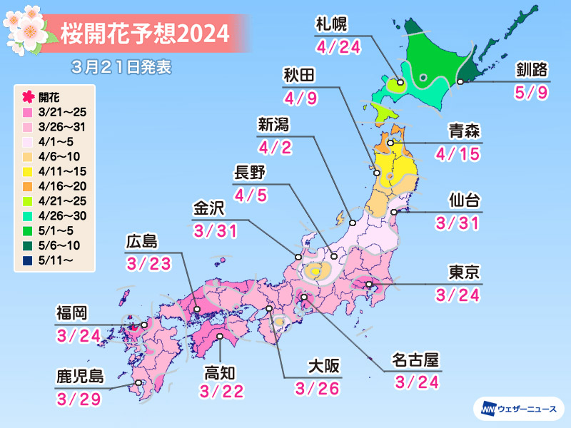【2024最新】富山の桜開花予想と開花状況【満開花見を狙う方法】wethernewsの開花予報