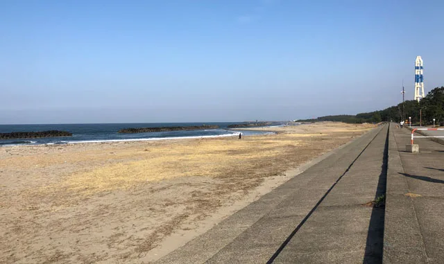 四方漁港 八重津浜のホタルイカ身投げ情報 駐車場や混み具合などまとめ 富山暮らし