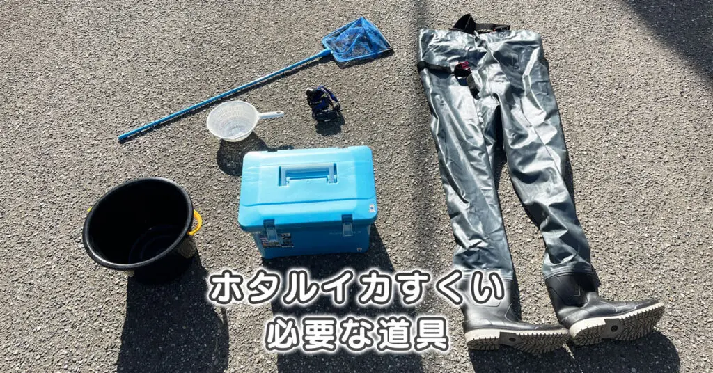 【ホタルイカすくい7つ道具】失敗談あり！獲れる数は道具次第。