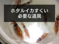 ホタルイカ捕りに必要な道具!ホタルイカすくいは道具次第!
