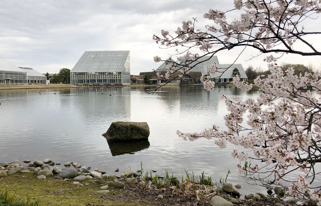 湖ごしの富山県中央植物園の建物