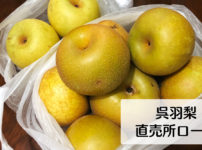 【呉羽梨 直売所の場所】安い値段で呉羽梨を買うなら直売所ロードへGO!!