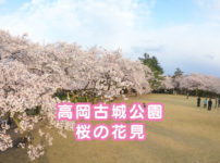 【高岡古城公園の桜】さくら名所100選☆花見と散歩にオススメ！