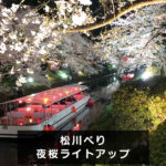 【松川べりの夜桜ライトアップ】日中とは違う花見！夜桜ナイトクルーズも。