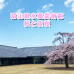 【富山県水墨美術館の桜】芝生広場に1本のシダレザクラの存在感！夜桜ライトアップも。