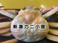 【口コミ】新湊カニ小屋がすごい！茹でたての蟹を1杯〜食べ放題まで。