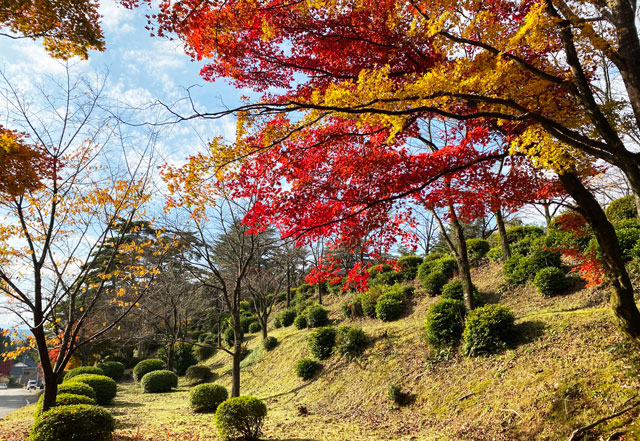 富山市旧大沢野の新緑と紅葉の名所「寺家公園」の駐車場近辺の紅葉