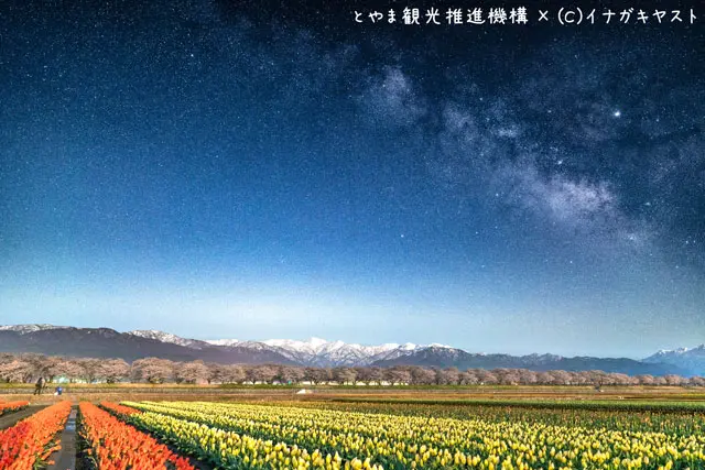 富山の写真家イナガキヤストさんが撮影した朝日町舟川の春の四重奏