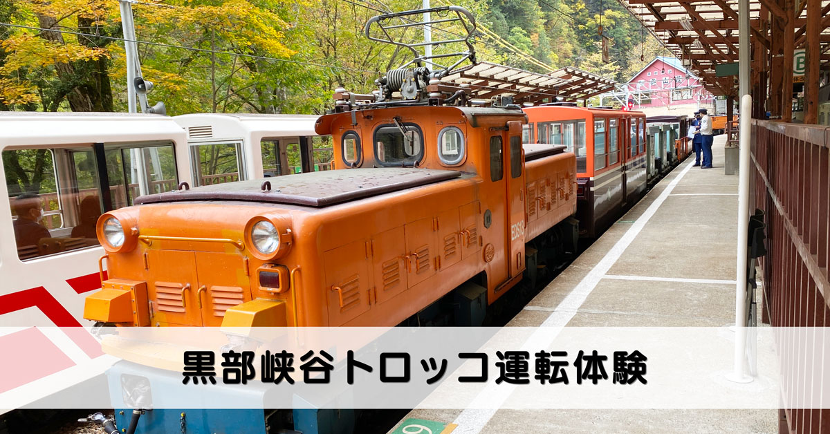【トロッコ電車運転体験】黒部峡谷を実際に走る車両を運転できる【最高の思い出】