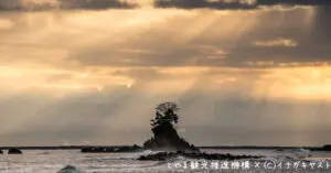 【イナガキヤスト富山の本気】写真とクリアファイル無料入手【撮影スポット】