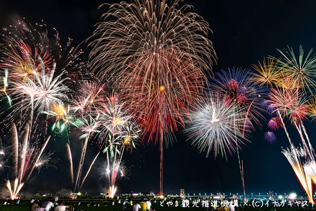 富山の写真家イナガキヤストさんが撮影した北日本新聞納涼花火大会（富山市）