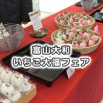 【いちご大福フェア】富山大和に県内の人気イチゴ大福が集結！