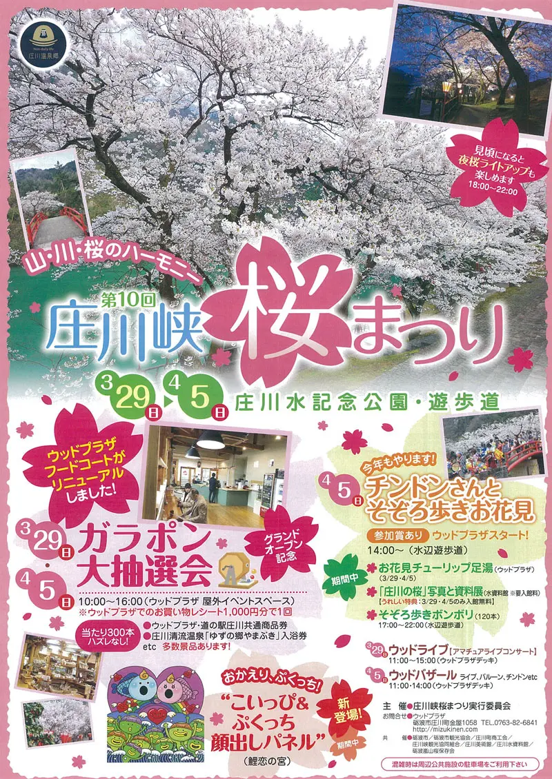 庄川峡桜まつり22 お花見イベントや夜桜ライトアップ 富山暮らし