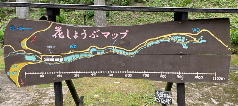 富山県砺波市の「頼成の森 花しょうぶ祭り」の木の会場マップ