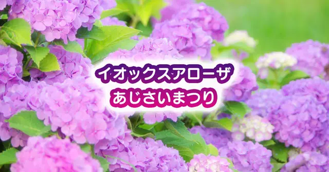 【イオックスアローザ あじさいまつり】ライトアップやゴンドラ等のイベント内容！