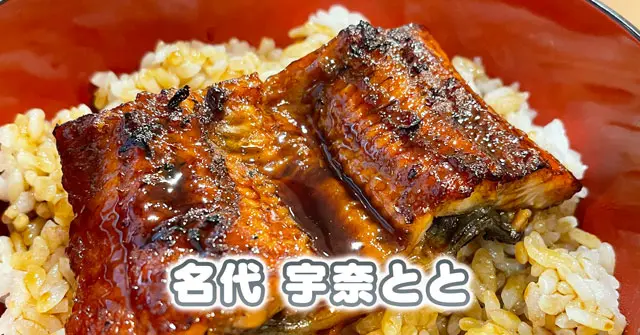 【名代 宇奈とと ファボーレ富山店】550円のうな丼を食べてきた【鰻専門チェーン店】