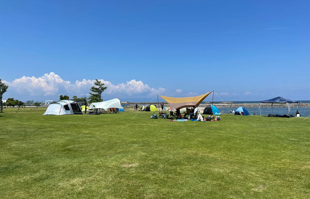 富山県射水市の海老江海浜公園の芝生広場