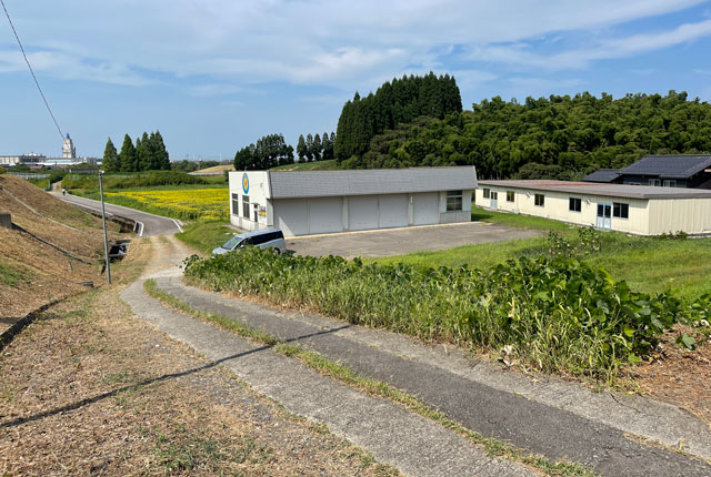 富山県射水市「富山県立大学」のひまわり迷路への道