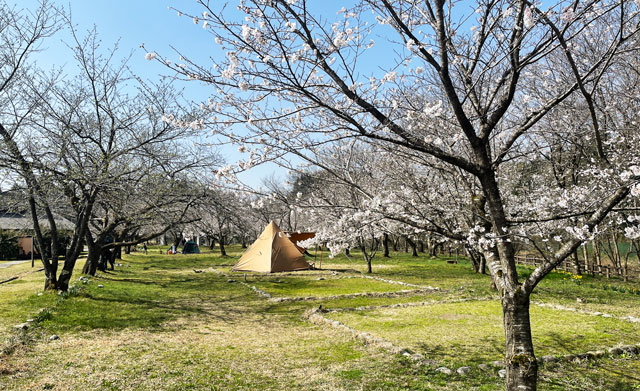 富山県砺波市の上和田緑地キャンプ場