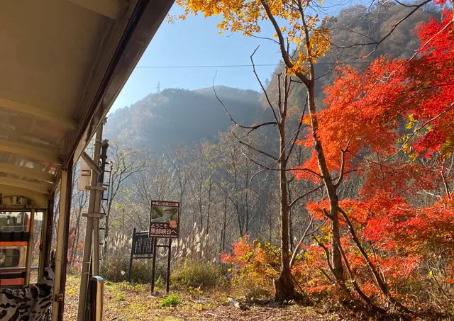 富山の紅葉スポット19選 紅葉の名所 見頃の時期まとめ 富山暮らし