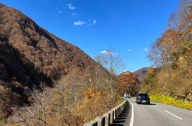 富山県富山市有峰県立自然公園の紅葉ドライブ