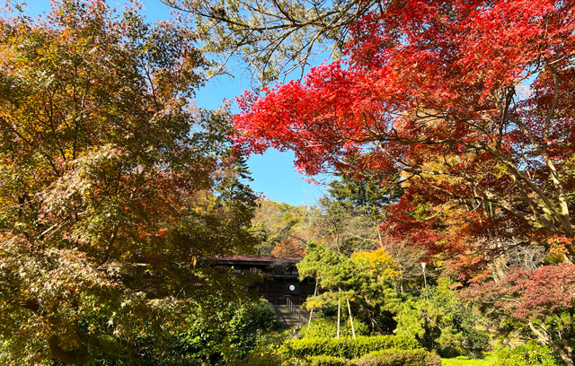 富山市民族民芸村の紅葉の様子