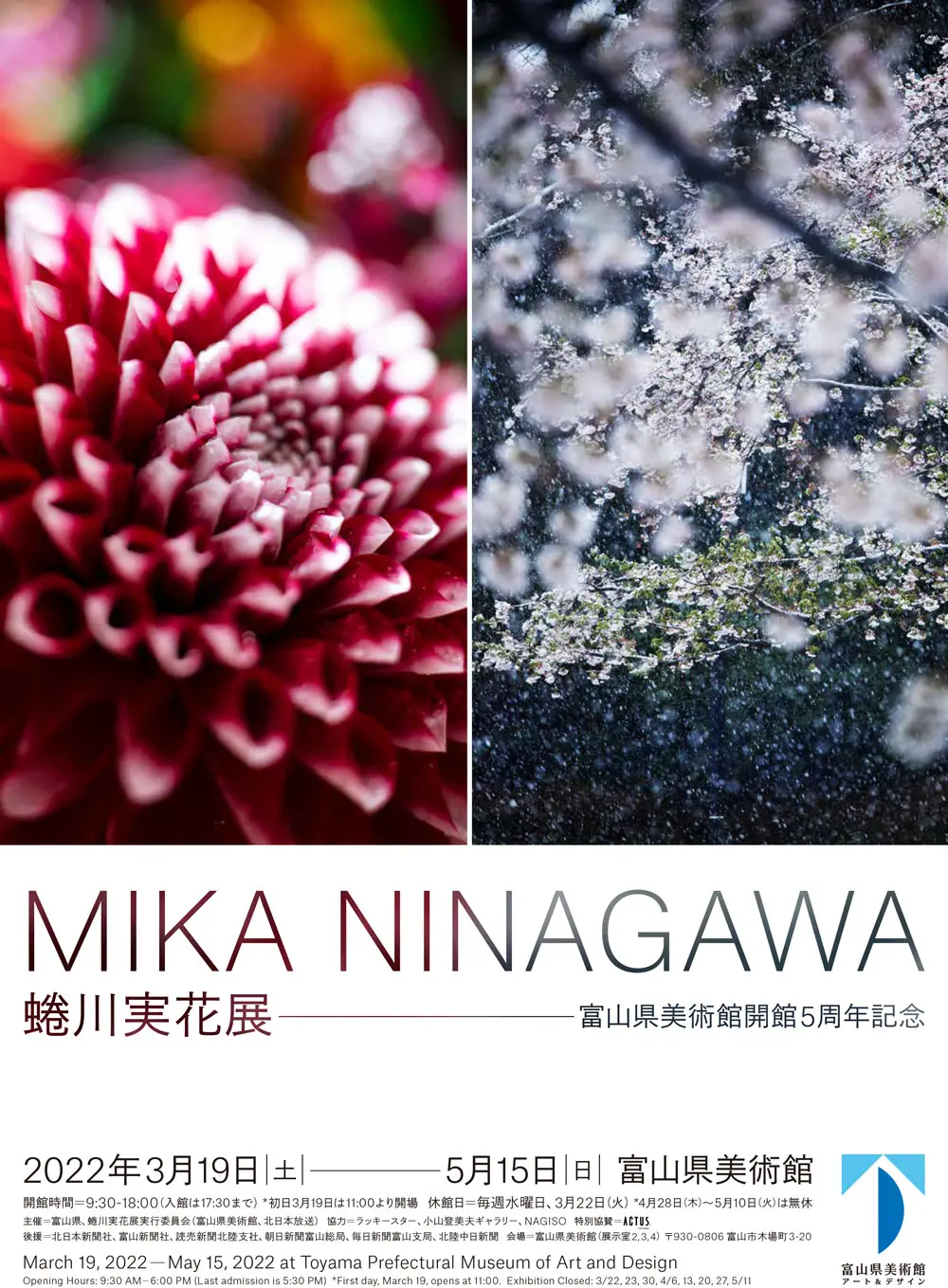 正規認証品!新規格 蜷川実花 mika ninagawa クリアファイル