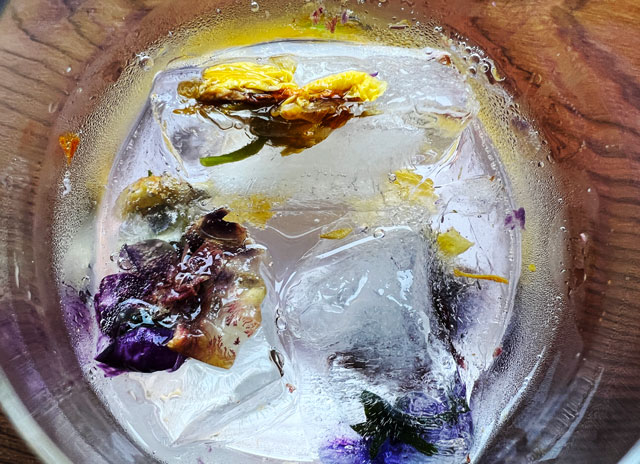 マルート富山「バール・デ・美富味」の日本酒カクテル「ペロトニック」の花が入った氷