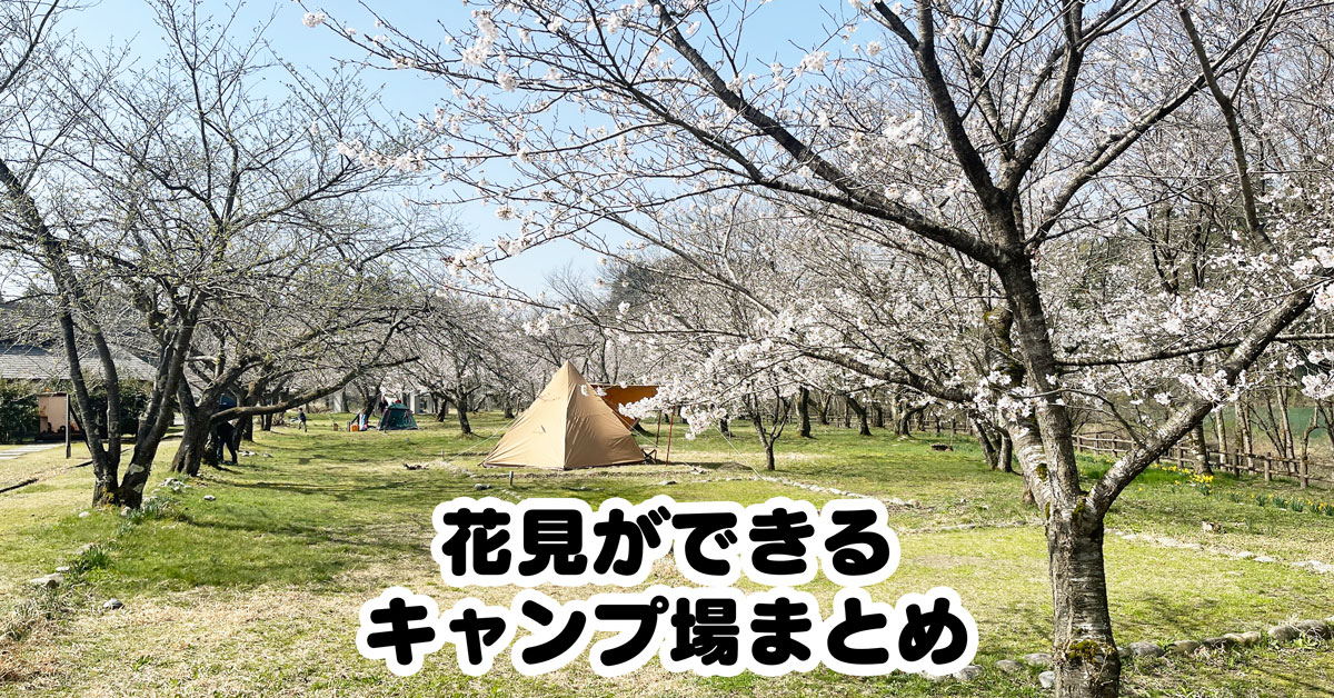 【富山の花見キャンプ場】桜が見られるスポットまとめ！