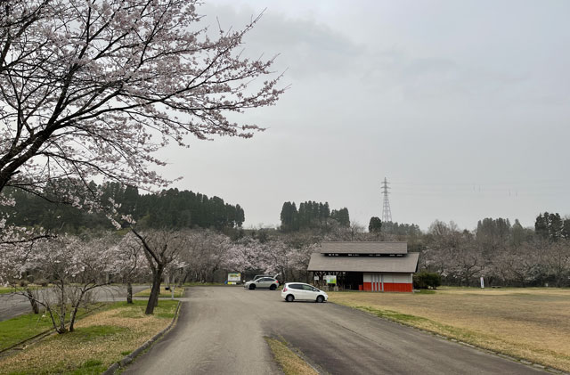 富山県砺波市の上和田緑地キャンプ場の無料駐車場