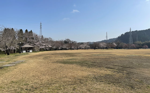 富山県砺波市の上和田緑地キャンプ場の芝生広場