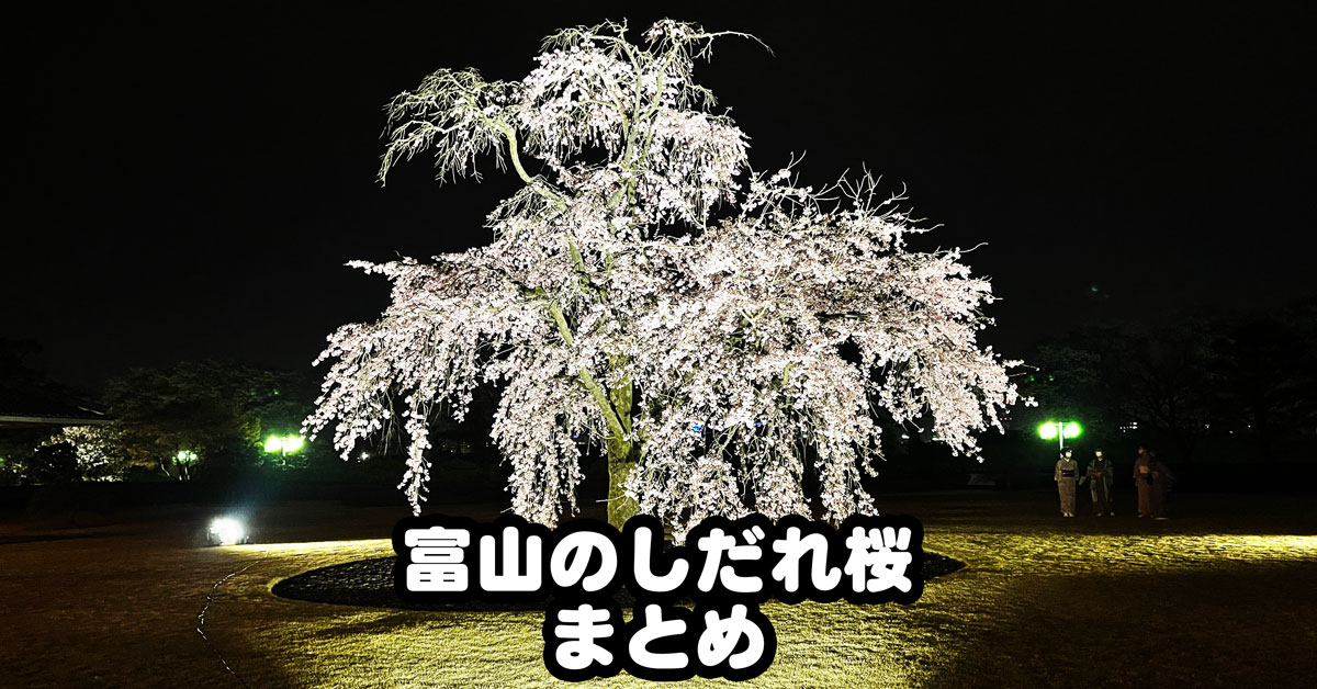 【富山県内のしだれ桜6選】日中も夜桜ライトアップもキレイすぎる！