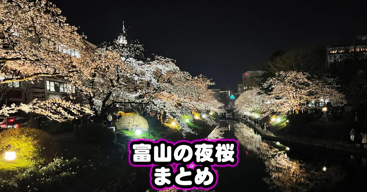 夜桜見 sddefault.jpg