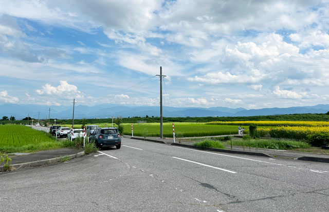 富山市婦中町長沢のひまわり畑の路上駐車