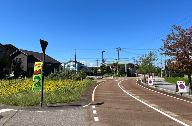 富山県砺波市深江の秋に咲くひまわり畑周辺は駐停車禁止