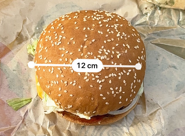 バーガーキング マリエとやま店のハンバーガーのサイズ(大きすぎ)