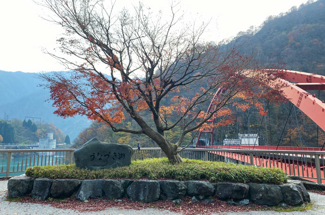 富山県黒部市の宇奈月温泉街、うなずき湖の紅葉